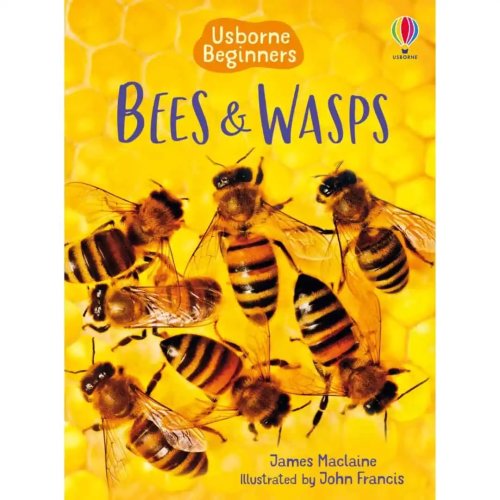 Carte pentru copii - bees and wasps