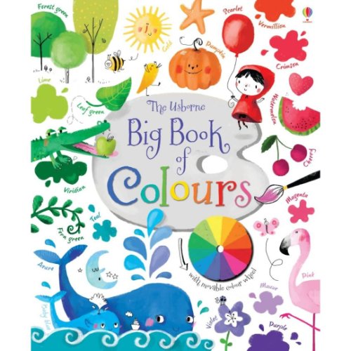 Carte pentru copii - big book of colours