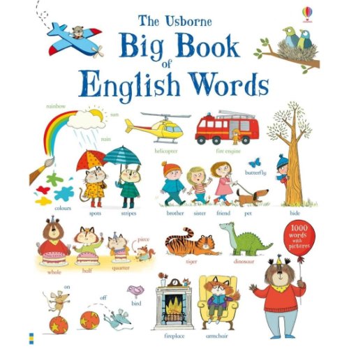Carte pentru copii - big book of english words