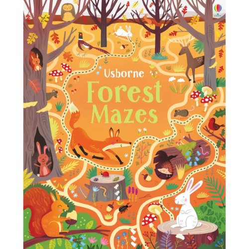 Carte pentru copii - forest mazes
