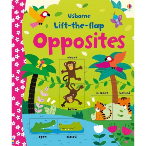Carte pentru copii - lift-the-flap opposites