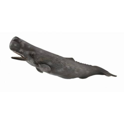 Balena casalot - animal figurina