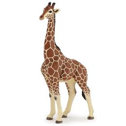 Girafa mascul - figurina papo