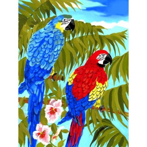 Ema Prima mea pictura pe numere junior mica - doi papagali
