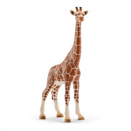 Figurina schleich girafa. femela 14750