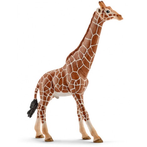 Figurina schleich girafa. mascul 14749
