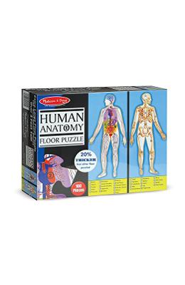 Floor puzzle, Human anatomy. Puzzle de podea, Corpul uman