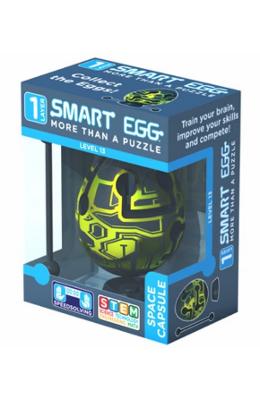 Smart egg: capsula spatiala