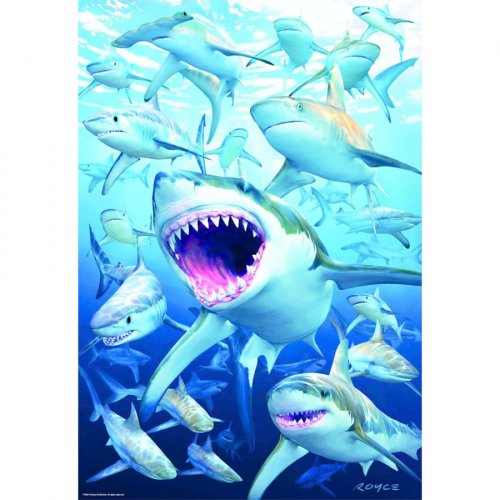 Puzzle - clubul rechinilor 500 de piese