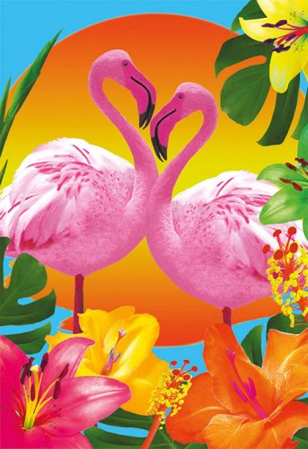 Jucaresti Puzzle - păsări flamingo 500 de piese