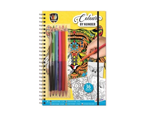 Set carte de colorat pe numere si 6 creioane colorate (2) 23 x 16 cm
